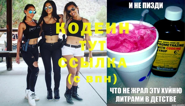 хмурый Горняк