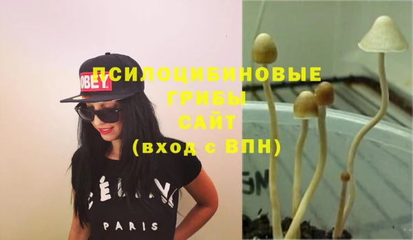 молекула духа Горнозаводск