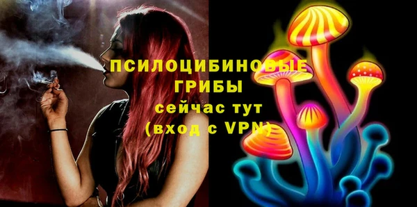 прущие крисы Вяземский
