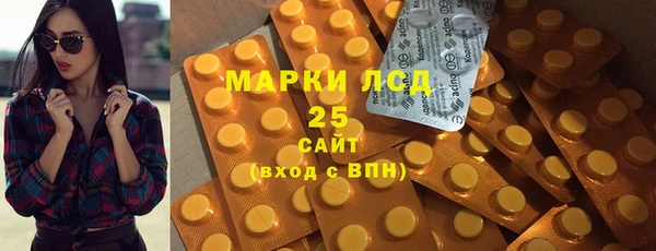 хмурый Горно-Алтайск