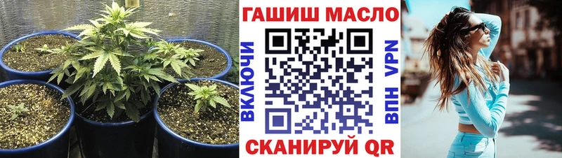 Купить где  Полысаево  ТГК гашишное масло 